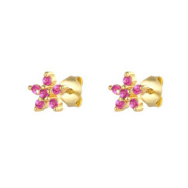 Pink Star Mini Cz Earrings