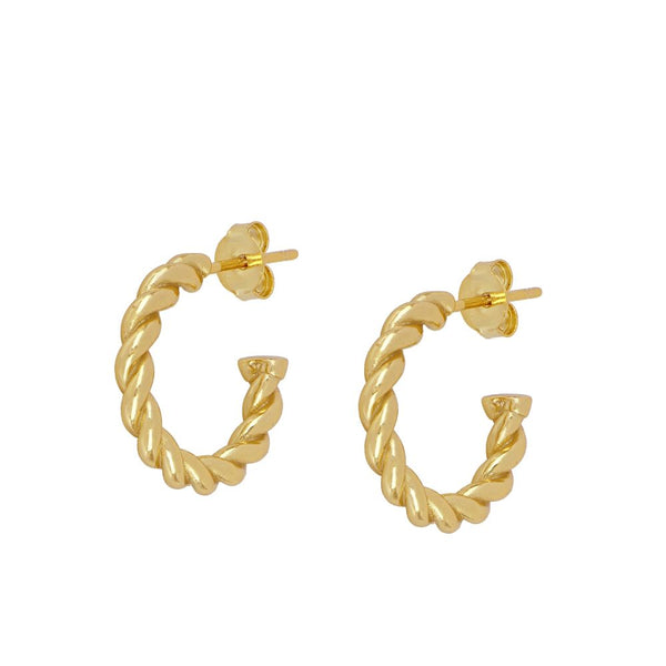 Curly Earrings in Gold Plated